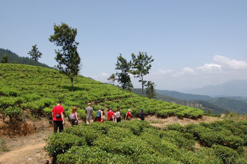 Randonnée dans les Knuckles Ranges au Sri Lanka