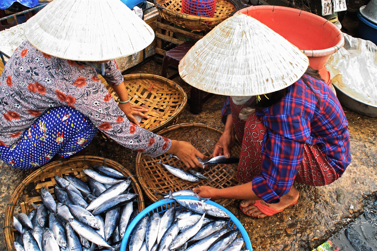 Vendeuses de poissons frais dans les rues d'Hoi An - Vietnam