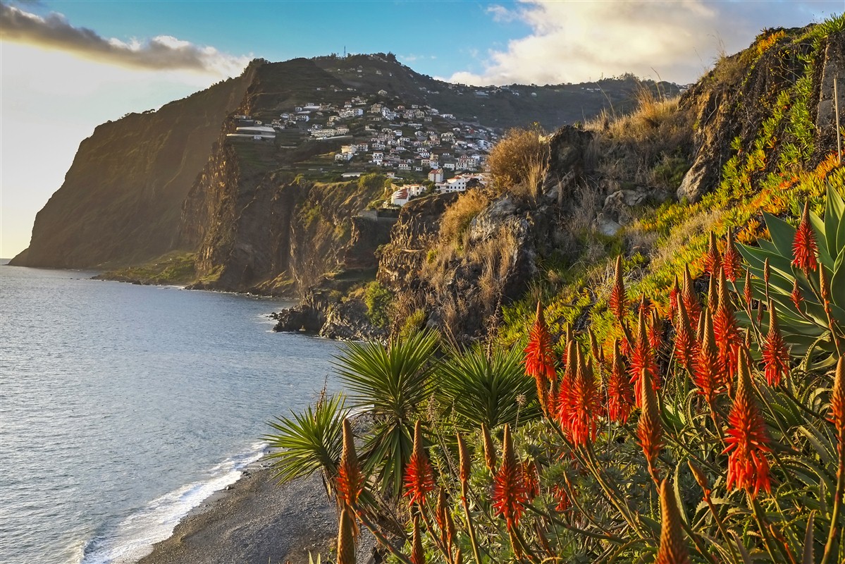 Vue sur Câmara de Lobos à Madère - Portugal