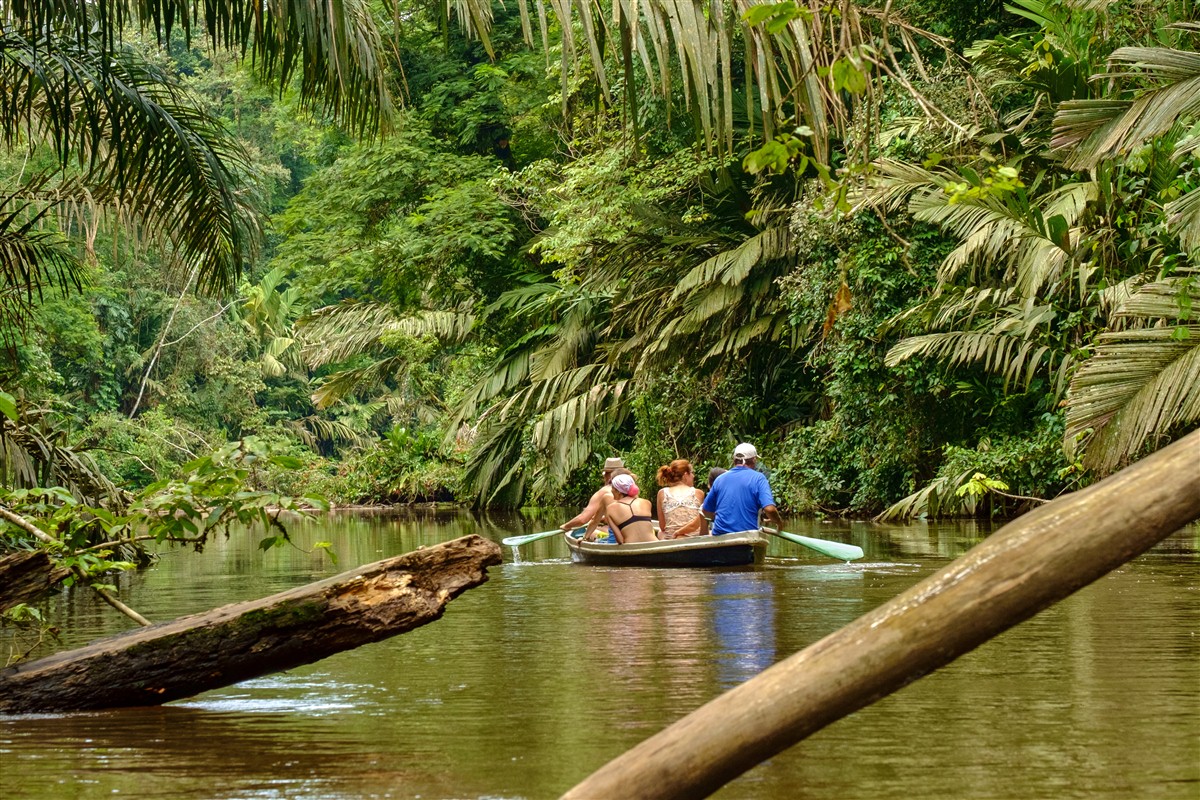En pirogue sur les canaux de Tortuguero - Costa Rica