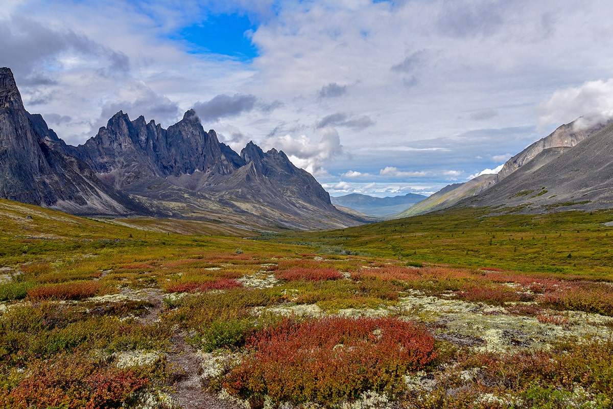 Le parc territorial de Tombstone dans le Yukon - Canada