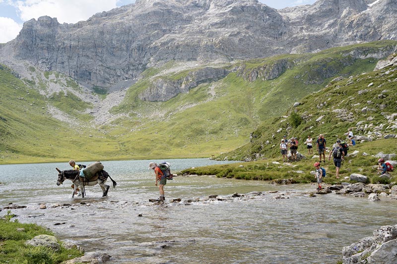 Randonnée en famille autour du lac de la Plagne en Vanoise © Matthieu/stock.adobe.com Famille marchant avec un âne autour du lac de la Plagne en Vanoise