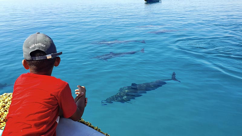 Observation d'un dauphin dans le lagon de Sataya © Valérie Valton/S. N. Observation d'un dauphin par un petit garçon depuis le bateau © Valérie Valton/S. N.
