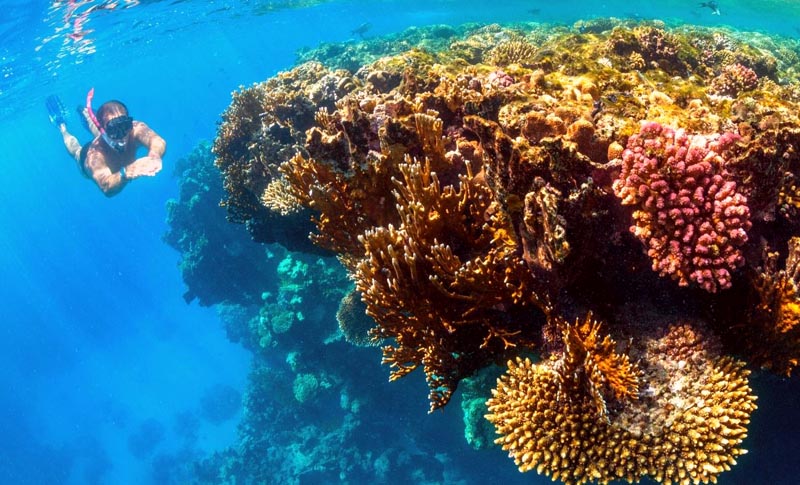 Snorkeling dans le lagon de Sataya © Valérie Valton/S. N. Snorkeling dans le lagon de Sataya © Valérie Valton/S. N.