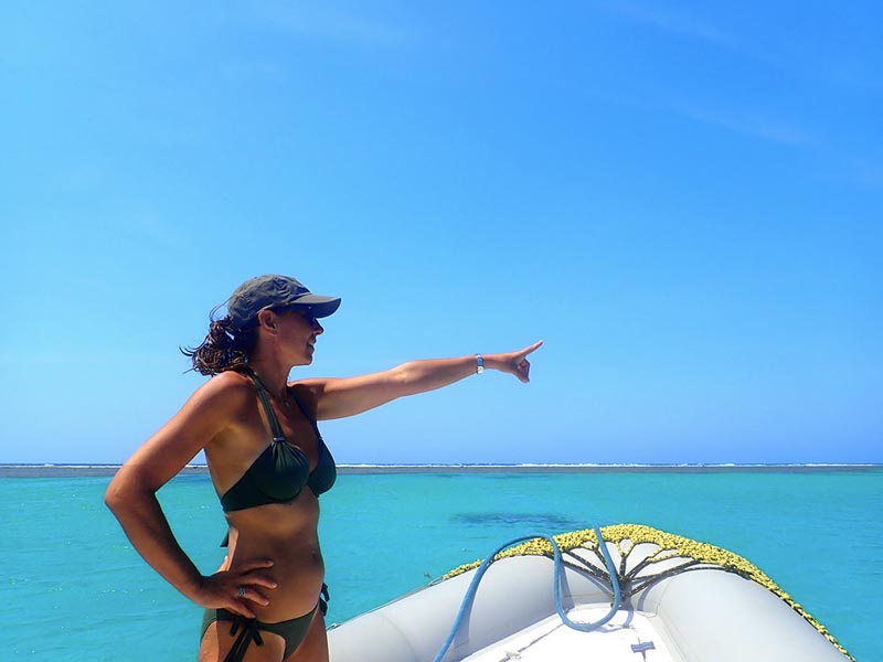 Observation des dauphins dans le lagon de Sataya en Égypte © Valérie Valton/S. N. Observation des dauphins dans le lagon de Sataya en Égypte © Valérie Valton/S. N.