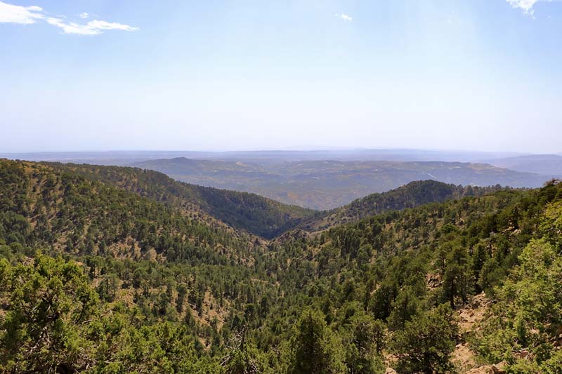 Montagnes de Troodos près du mont Olympe - Chypre © Dynamoland/stock.adobe.com