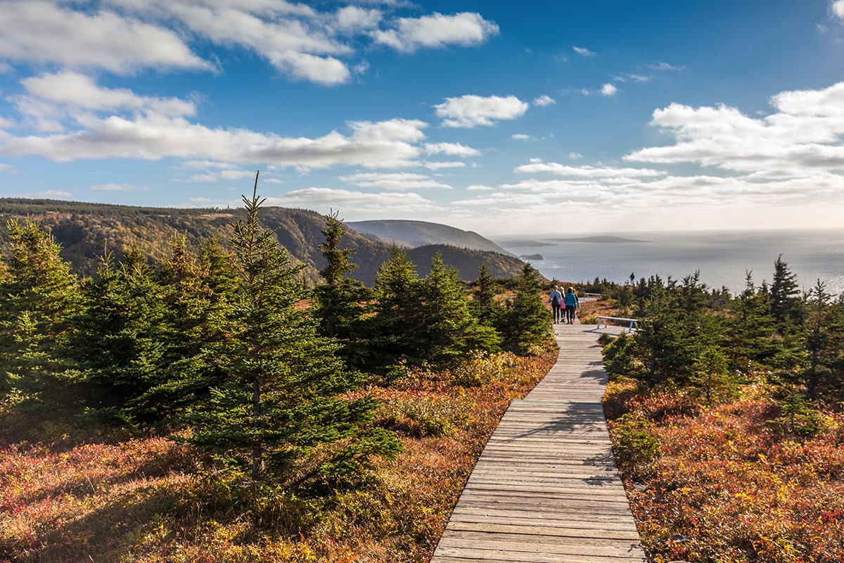 Le Skyline Trail dans le parc national des Hautes-Terres-du-Cap-Breton - Canada