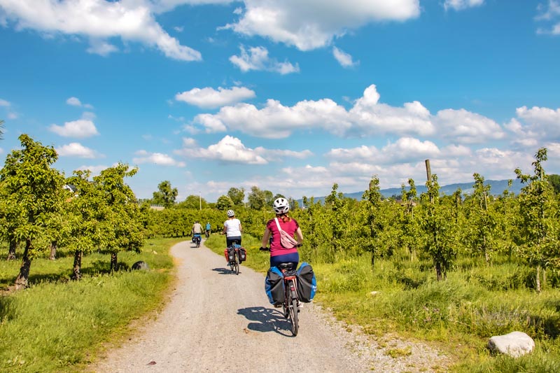 Cyclistes dans les vergers autour du lac de Constance en Allemagne