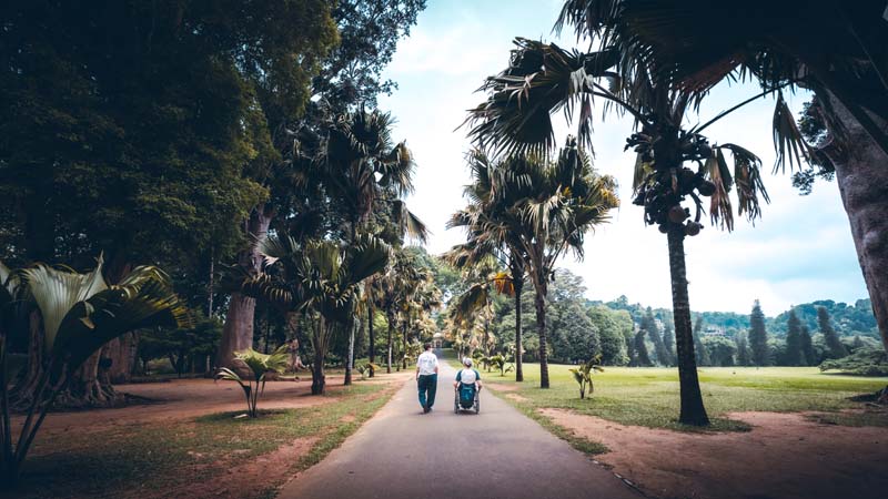 Balade dans le jardin botanique de Peradeniya © Myriam Cabon - Wheeled World