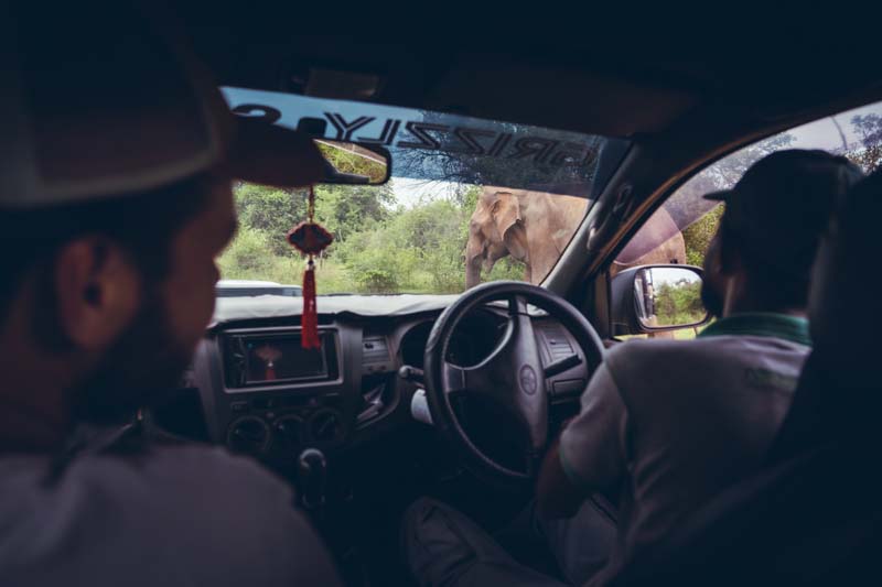 Observation des éléphants dans le parc d'Udawalawe © Myriam Cabon - Wheeled World