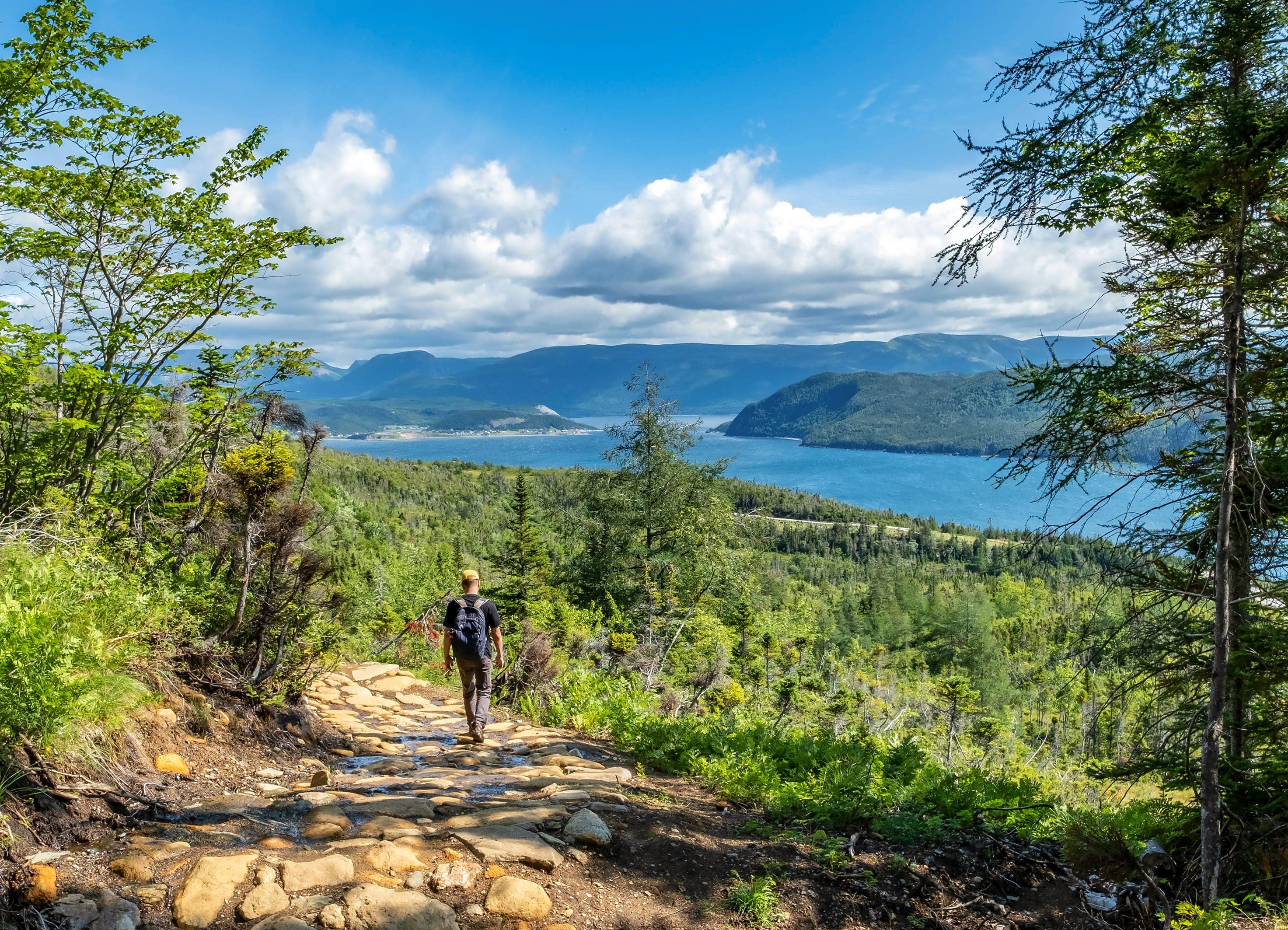 Le Lookout Trail dans le parc national du Gros-Morne - Canada