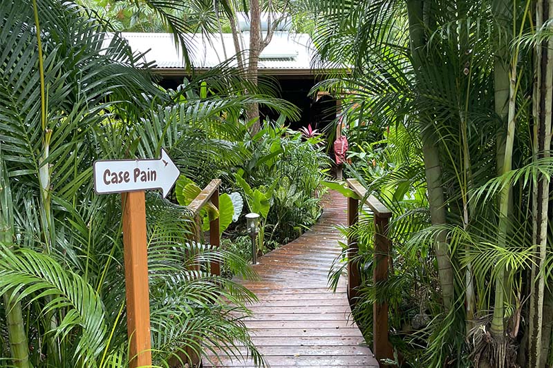 Ecolodge à Deshaies en Guadeloupe © Jeanne B. Ecolodge à Deshaies en Guadeloupe © Jeanne B.
