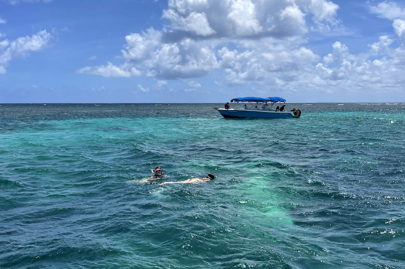 Balade en bateau écoresponsable et snorkeling dans les mangroves du Grand-Cul-de-Sac marin en Guadeloupe © Jeanne B. Balade en bateau écoresponsable et snorkeling dans les mangroves du Grand-Cul-de-Sac marin en Guadeloupe © Jeanne B.