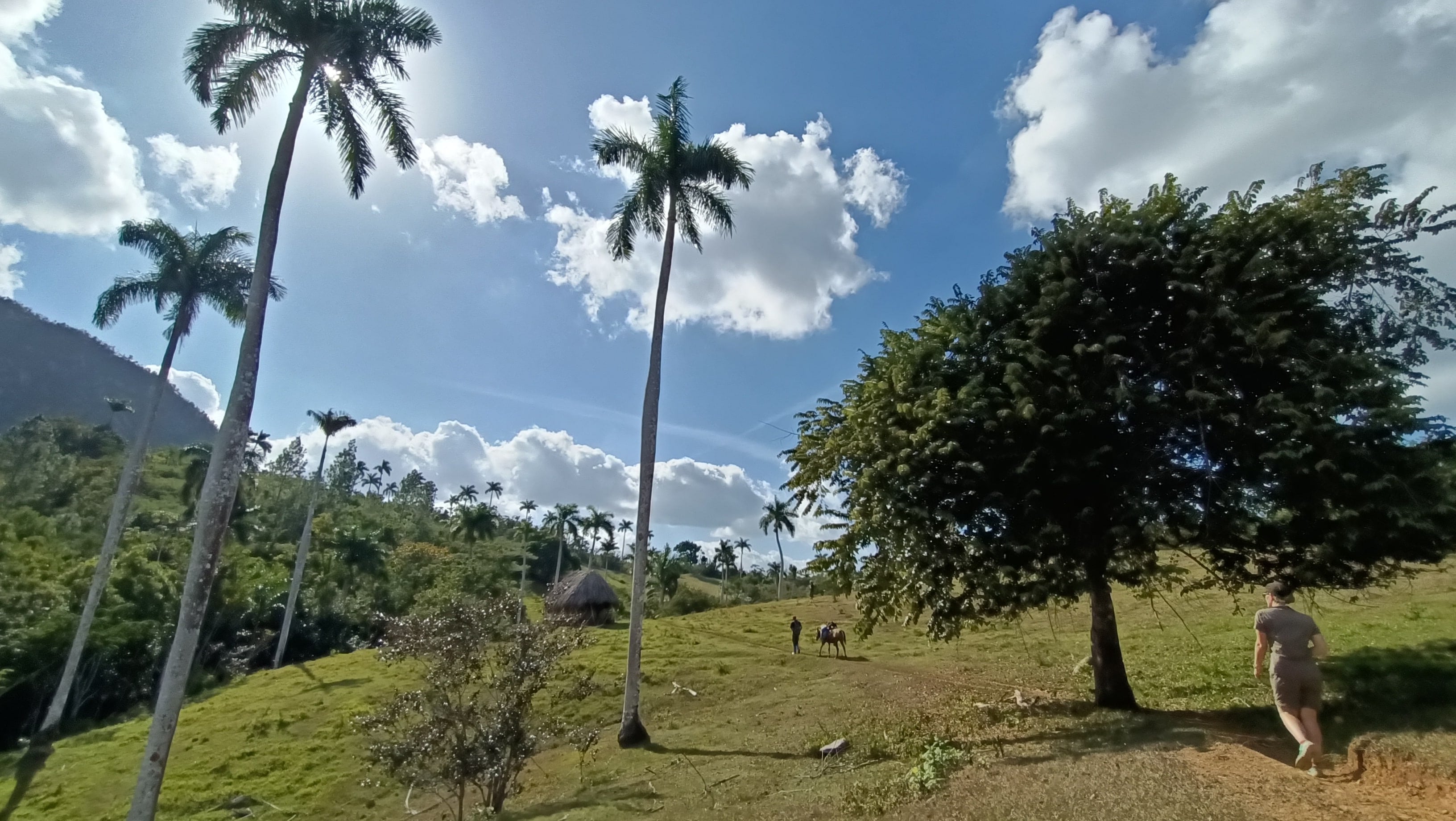 Paysage dans la région de Mil Cumbres à Cuba