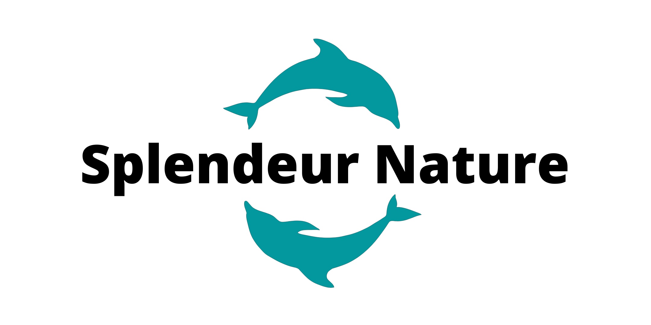 Logo de l'association Splendeur Nature © Valérie Valton/S. N. Logo de l'association Splendeur Nature © Valérie Valton/S. N.