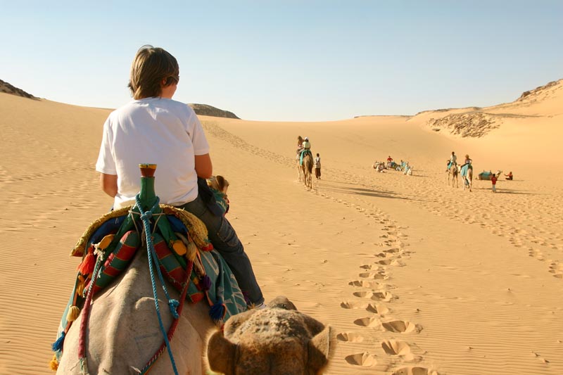 Petit gar&ccedil;on sur un dromadaire dans le d&eacute;sert du Sahara &copy; El&eacute;onore H/stockadobe.com