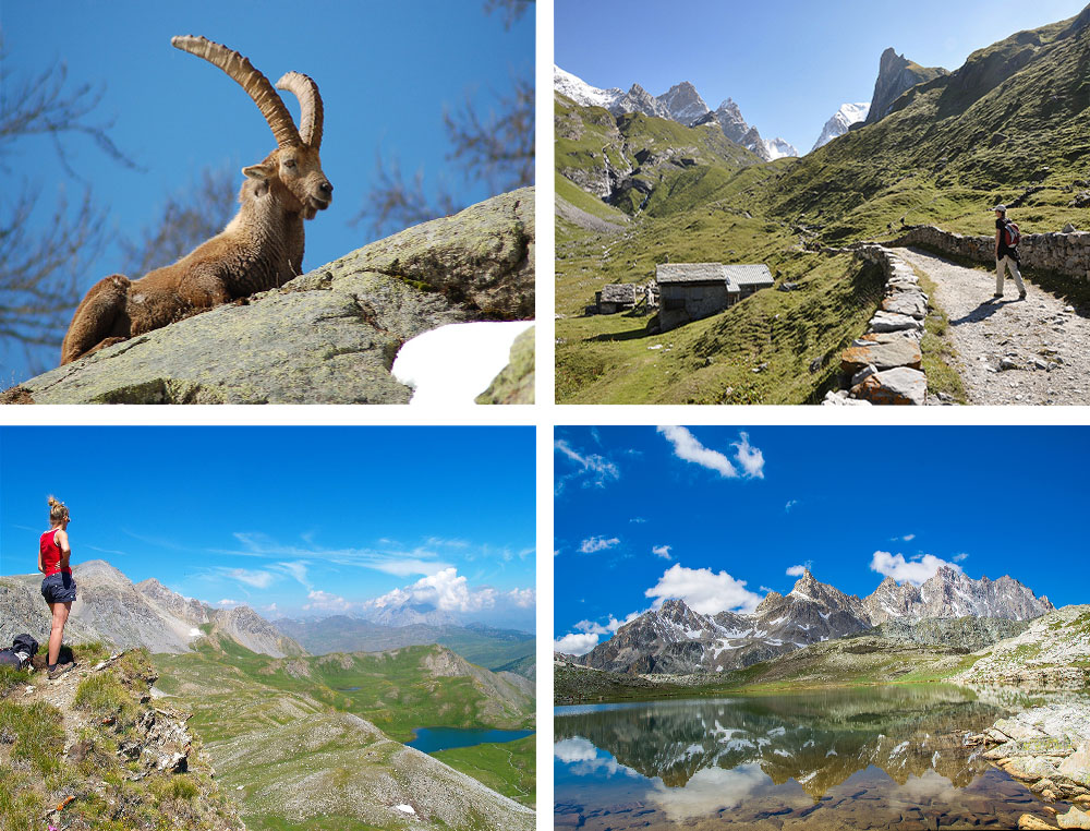 De haut en bas, de gauche à droite : 1) Bouquetin du Mercantour)© jm / fotolia.com 2) Chalets de la Glière en Vanoise © phgo55 / stock.adobe.com 3) Randonneuse dans la région de Cervières dans le Queyras © Tomfry / fotolia.com 4) Lacs de Marinet au Mercantour © alessandrogiam / stock.adobe.com