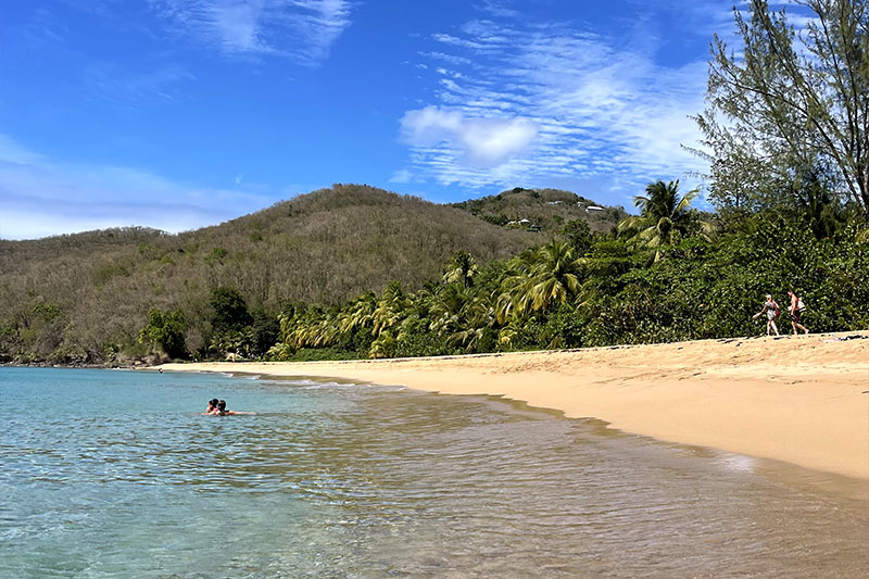 Plage de la Grande Anse à Deshaies en Guadeloupe © Jeanne B. Plage de la Grande Anse à Deshaies en Guadeloupe © Jeanne B.
