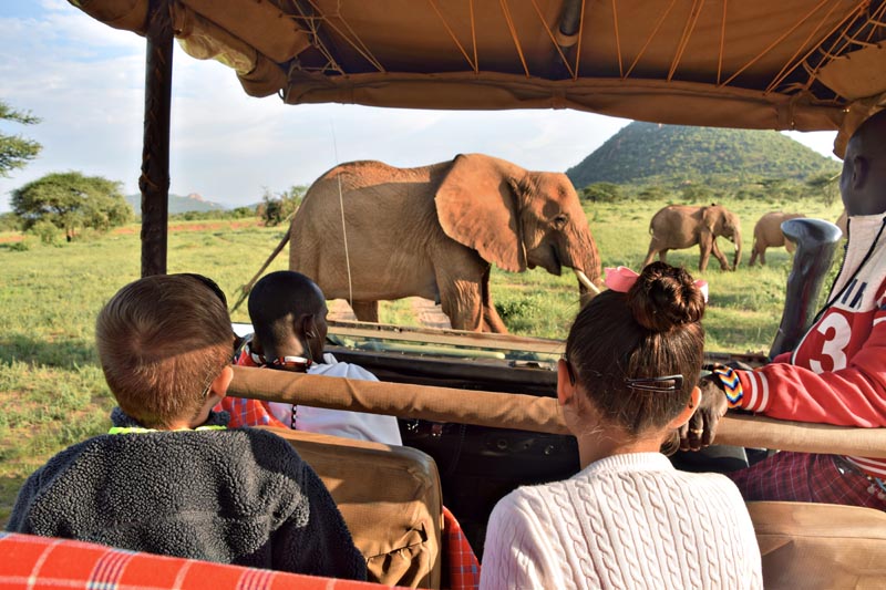 2 enfants dans un 4x4 avec des rangers face &agrave; un &eacute;l&eacute;phant au Kenya
