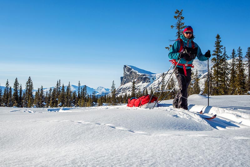 Ski pulka - Europe du Nord &copy; Jens Ottoson/stock.adobe.com