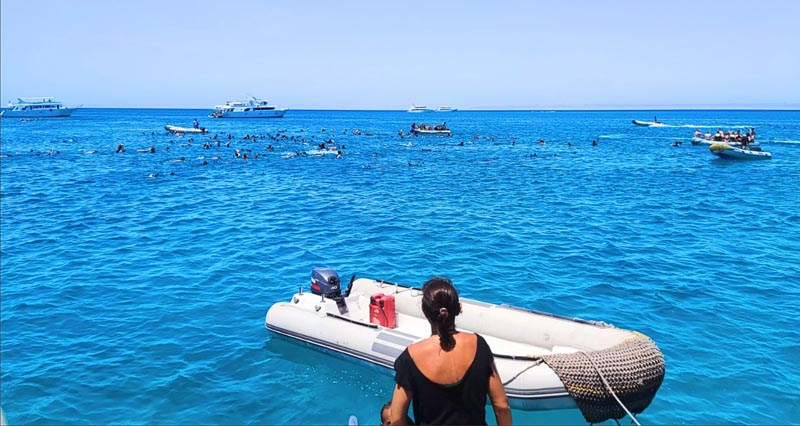 Bateaux de tourisme dans le lagon de Sataya en mer Rouge en Égypte © Valérie Valton/S. N. Bateaux de tourisme dans le lagon de Sataya en mer Rouge en Égypte © Valérie Valton/S. N.