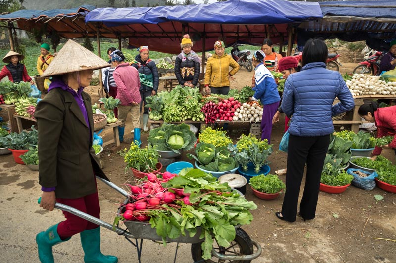 Vente des légumes au marché par les paysannes © agence Zeppelin Vente des légumes au marché par les paysannes © agence Zeppelin