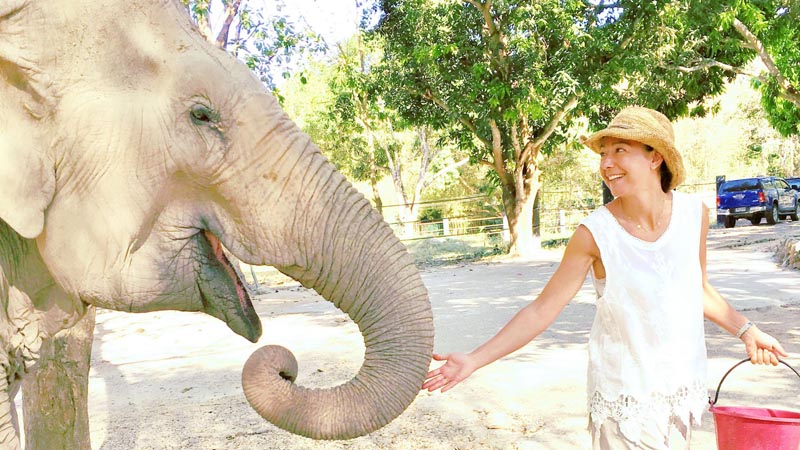 Val&eacute;rie Valton avec un &eacute;l&eacute;phant &copy; Val&eacute;rie Valton/S. N.
