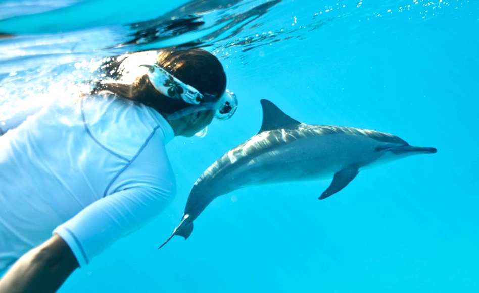 Rencontre et nage avec un dauphin dans le lagon de Sataya © Valérie Valton/S. N. Rencontre et nage avec un dauphin dans le lagon de Sataya © Valérie Valton/S. N.