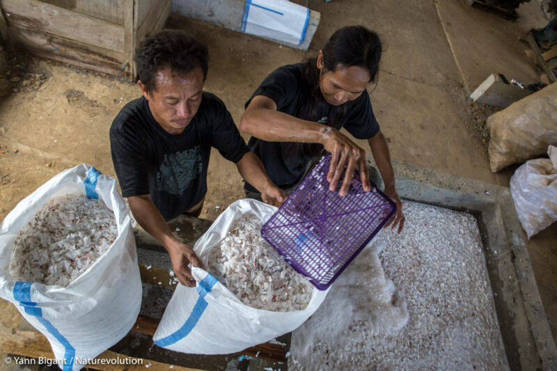 Récolte des copeaux de plastique après le passage en broyeuse © Yann Bigant/Naturevolution 