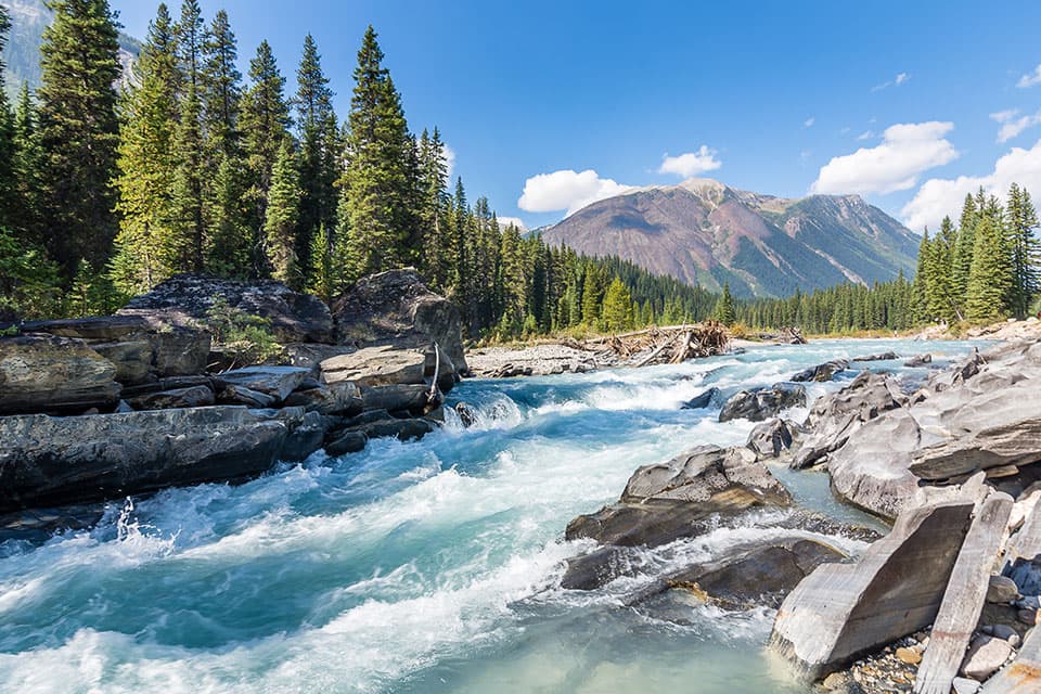 La rivière Kootenay - Canada