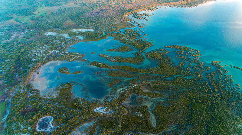 Vue du ciel de l'île de Mafia