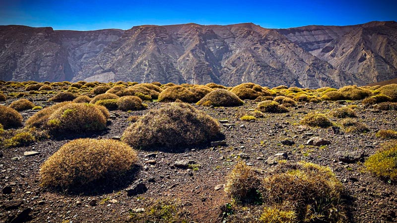 Paysage autour du M'goun dans le Haut Atlas marocain © Patrick D. Paysage autour du M'goun dans le Haut Atlas marocain © Patrick D.