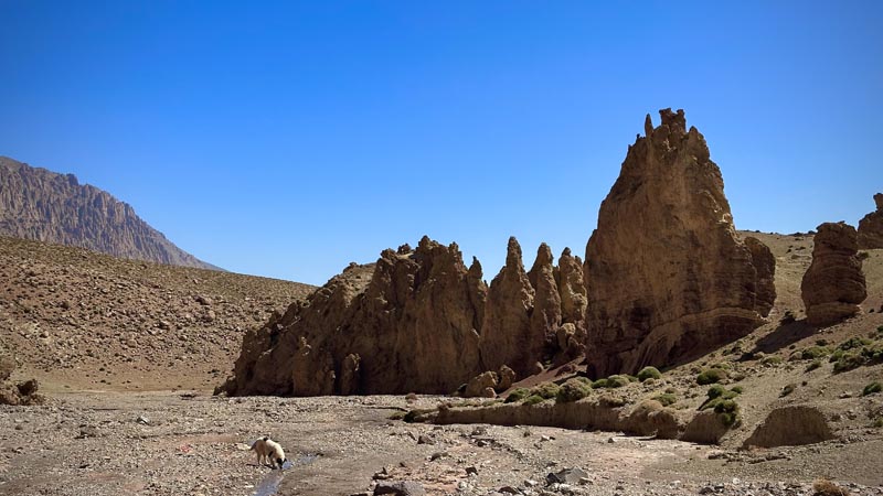 Paysage de oued et canyon autour du M'Goun dans le Haut Atlas marocain © Patrick D. Paysage de oued et canyon autour du M'Goun dans le Haut Atlas marocain © Patrick D.
