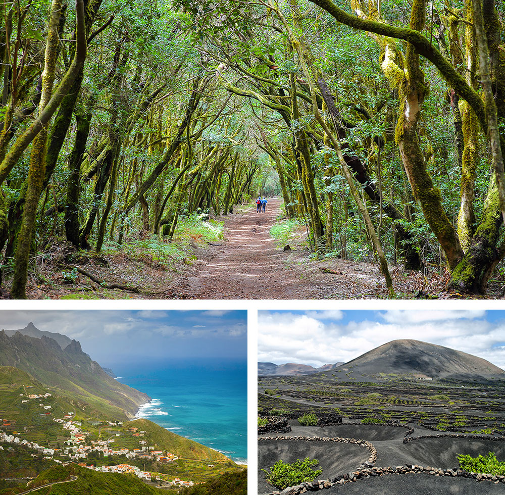 1) Parc national de Garajonay à La Gomera aux Canaries 2) Le village de Taganana dans le nord-est de Tenerife aux Canaries 3) La Geria sur l’île de Lanzarote aux Canaries 