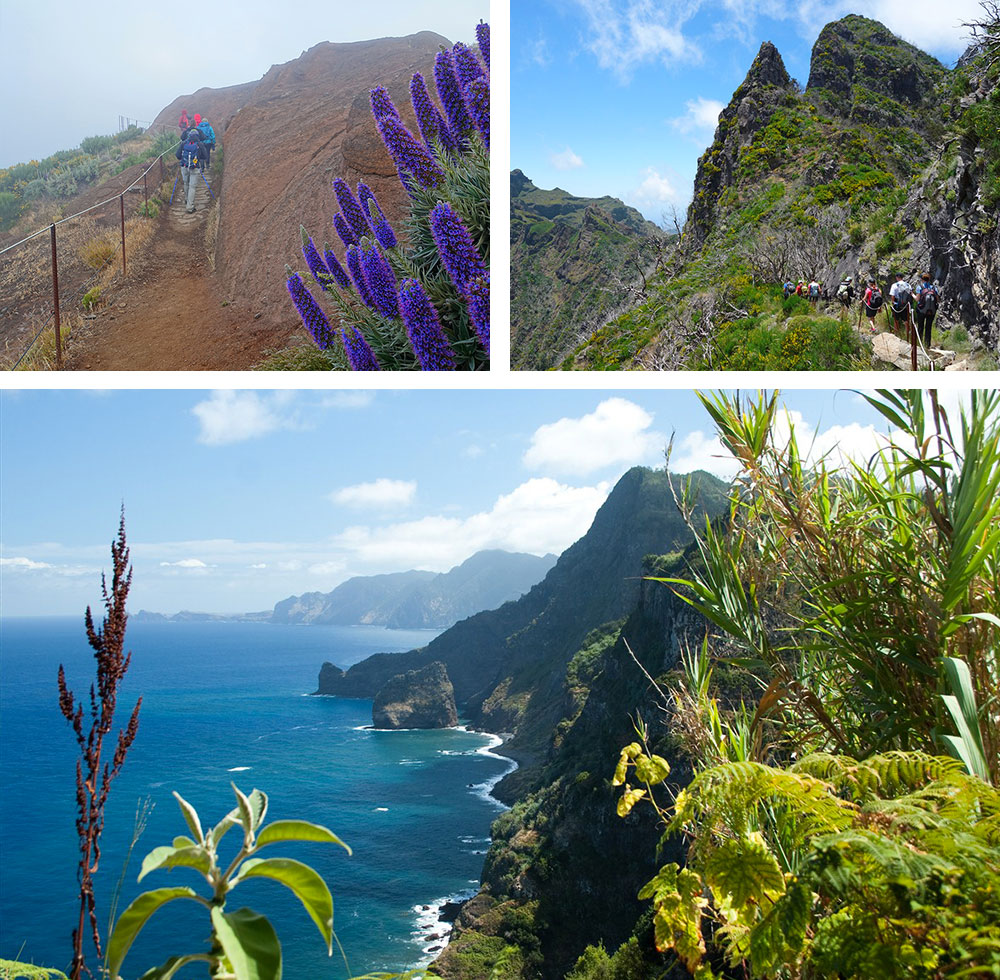 1) Randonnée entre le Pico do Arieiro et le Pico Ruivo à Madère 2) Randonnée entre le Pico do Arieiro, Pico Ruivo et le col d'Encumeada à Madère 3) Côte sauvage près de Santana à Madère