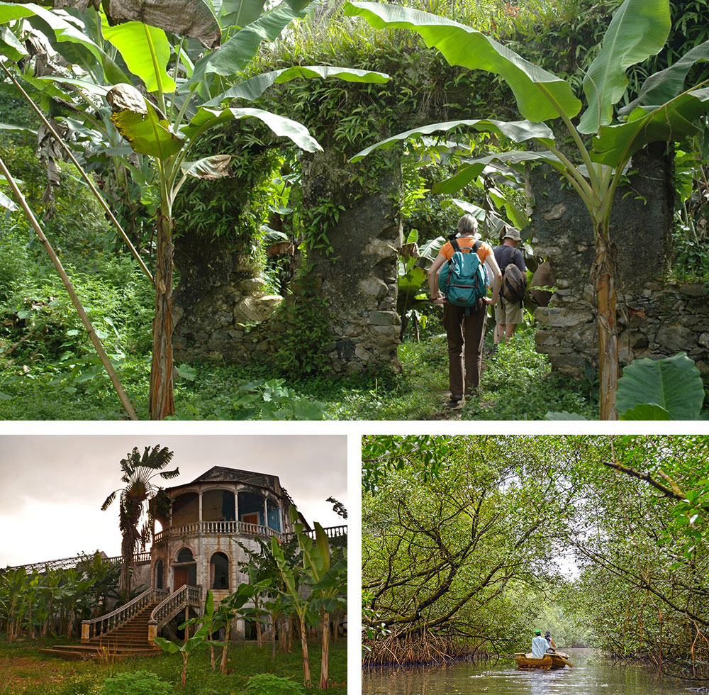 1) Randonnée dans la forêt secondaire de São Tomé 2) Vieille roça et plantation de cacao à Agua Ize à São Tomé 3) Mangrove près de Jale à São Tomé