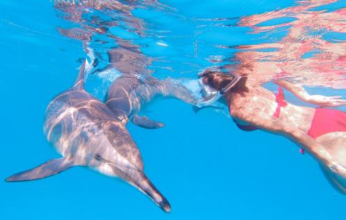 Valérie Valton avec les dauphins du lagon de Sataya en mer Rouge © Valérie Valton/S. N.