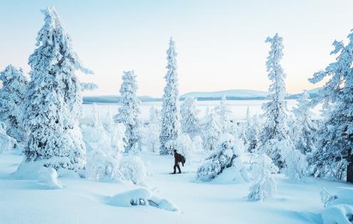 Randonnée à raquette près du lac Ylläsjärvi - Laponie - Finlande © Visit Finland
