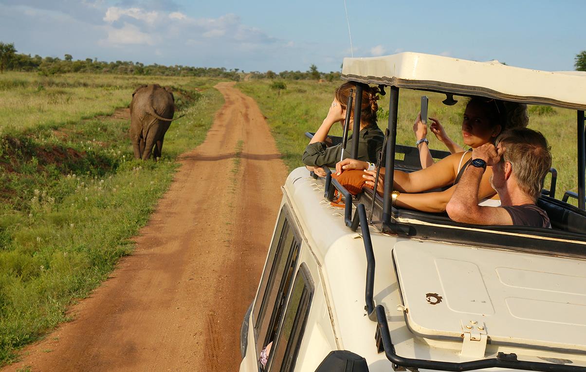 Safari dans le parc du Serengeti - Tanzanie © Florian Hauer / Nomade Aventure