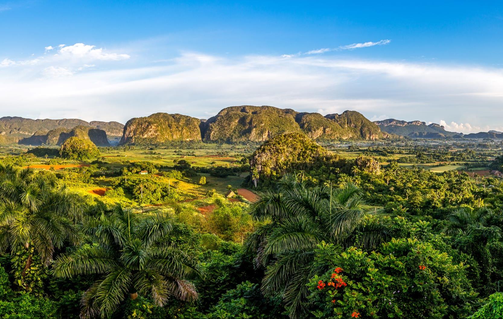 Vallée de Viñales à Cuba © rphfoto/stock.adobe.com