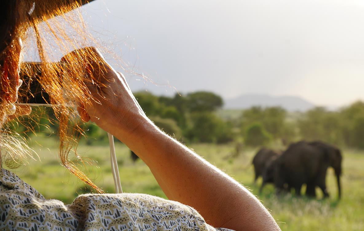 Safari dans le parc du Serengeti - Tanzanie © Florian Hauer/Nomade Aventure