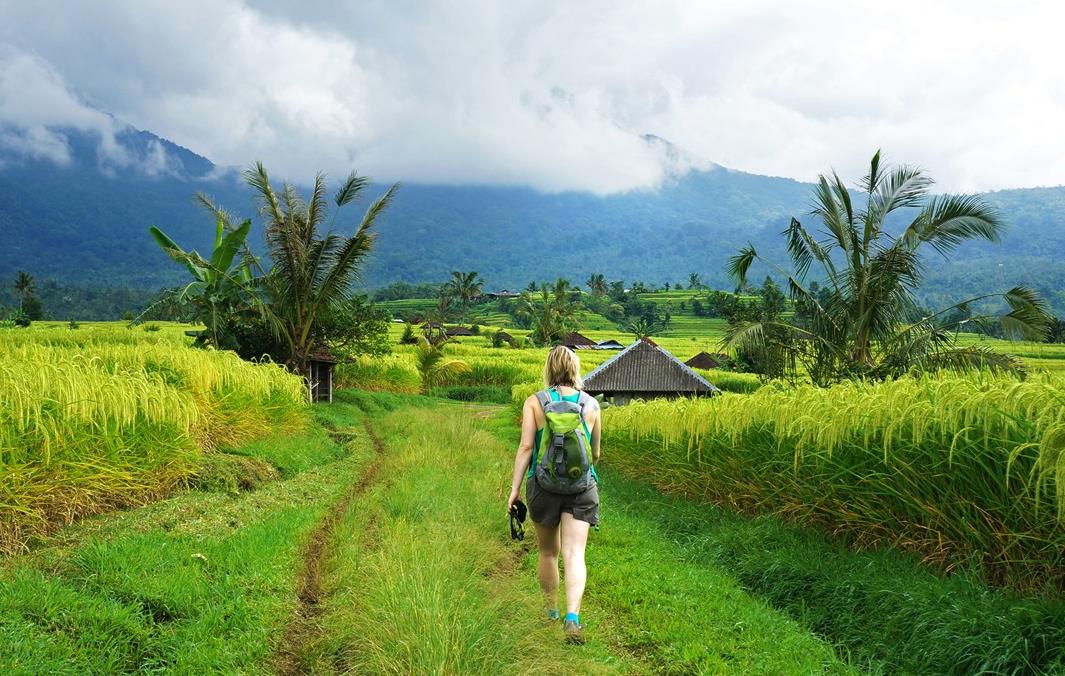 Randonnée dans les rizières de Jatiluwih à Bali - Indonésie © Fanny Hardy/Nomade Aventure