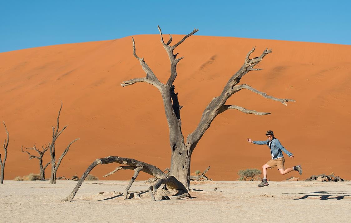 Dead Vlei dans le désert du Namib © zephyr_p/stock.adobe.com