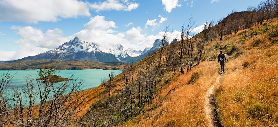 Randonnée en Patagonie d'Ushuaia à Torres del Paine avec le magnifique trek W via le Fitz Roy et l’imposant glacier Perito Moreno.