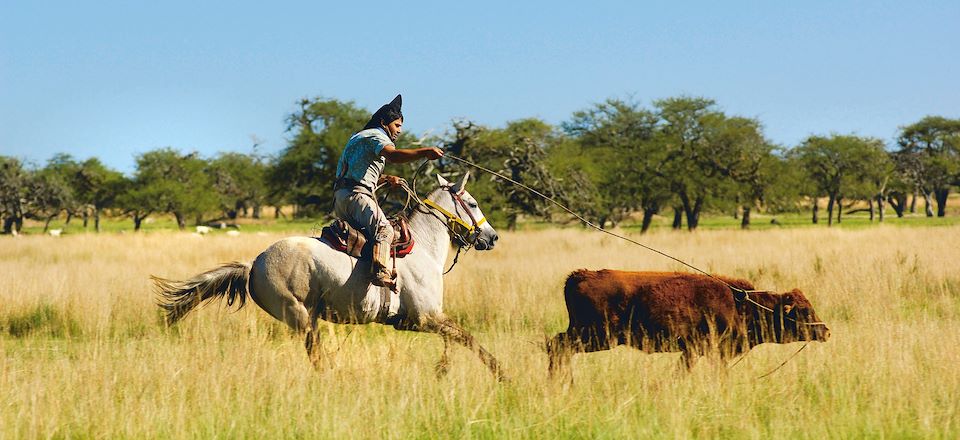 Autotour dans le Nord Ouest : Cafayate, Cachi, Purmamarca et les Salinas Grandes. Terminez votre périple aux chutes d’Iguaçu