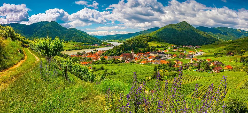 Le Danube à vélo hors des sentiers battus, avec nuits en pensions locales, de Schärding à Vienne par la célèbre vallée de Wachau