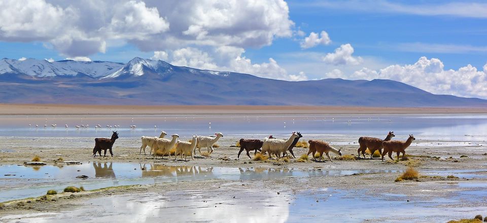 Grand boucle de la Bolivie: de la splendeur du Sud Lipez au villes coloniales en passant par l'île du Soleil. 