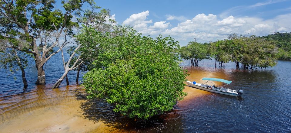 Immersion en Amazonie et au Pantanal, sanctuaires naturels de faune et de flore d'une richesse sans pareille.