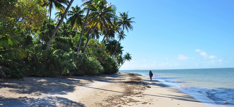Randonnées dans le Parc National de Chapada Diamantina, visite de Salvador de Bahia et immersion sur l'île sauvage de Boipeba