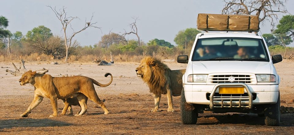 Safari au fil de l'Okavango en 4x4 équipé camping, observation des suricates, bivouac sous les étoiles au cœur d’un désert de sel